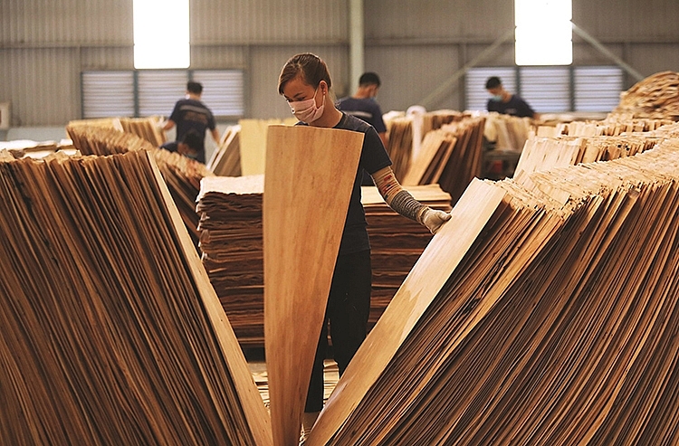 Hàng trăm doanh nghiệp ngành gỗ đối diện nguy cơ đóng cửa nhà máy, công nhân ...